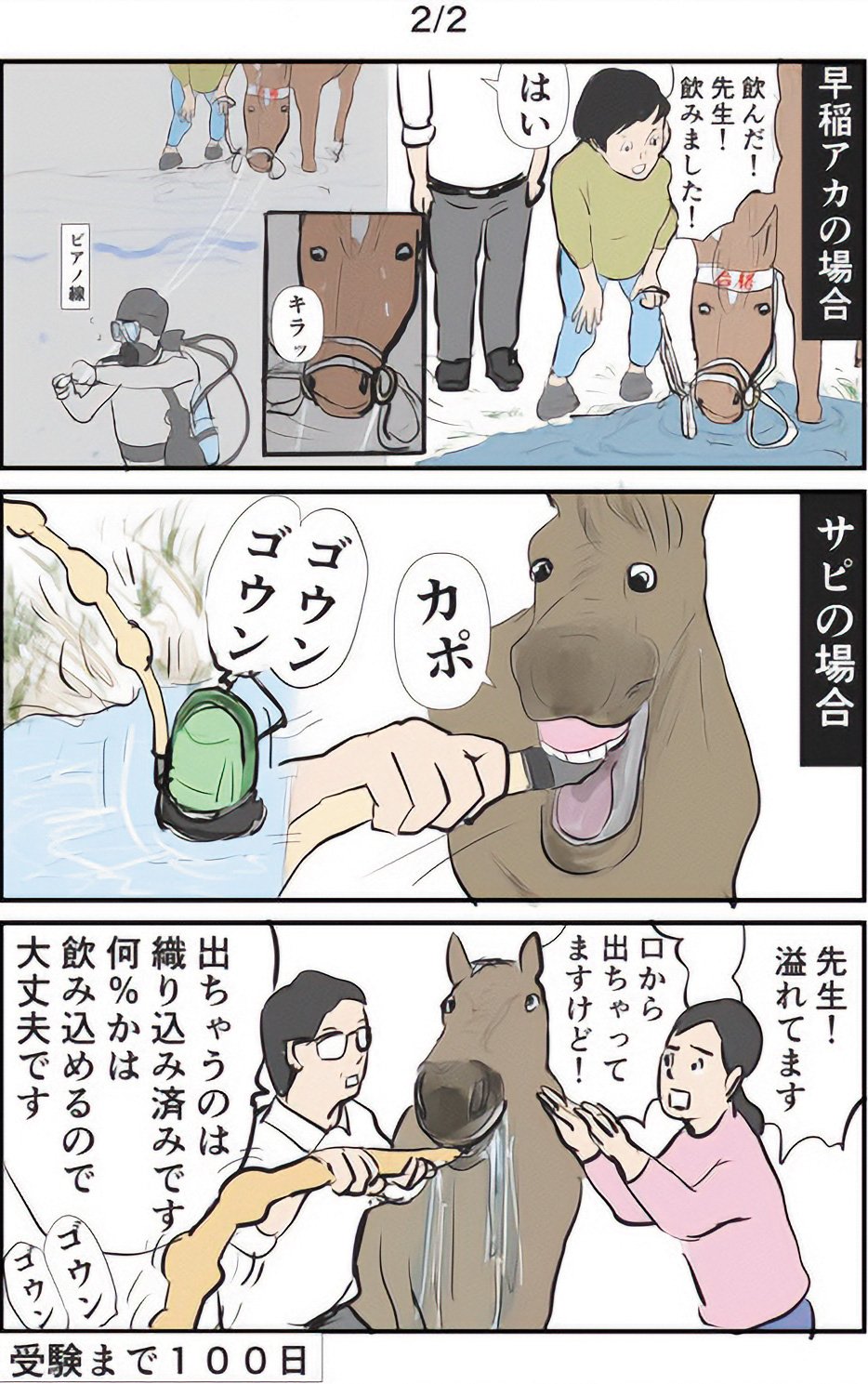 『ギャグ漫画家の母が初めて中受伴走をしてみたら』りえ太郎