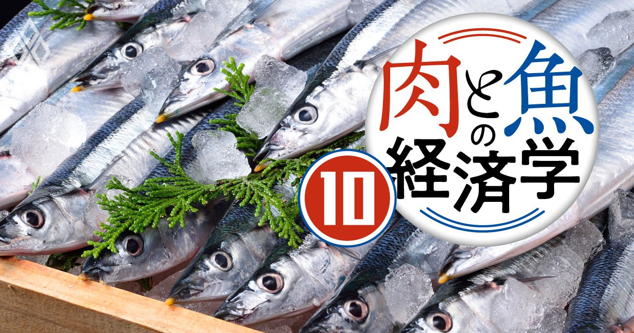 サンマの価格は「地政学」で動いていた！対中韓戦略で理想の同盟国は？