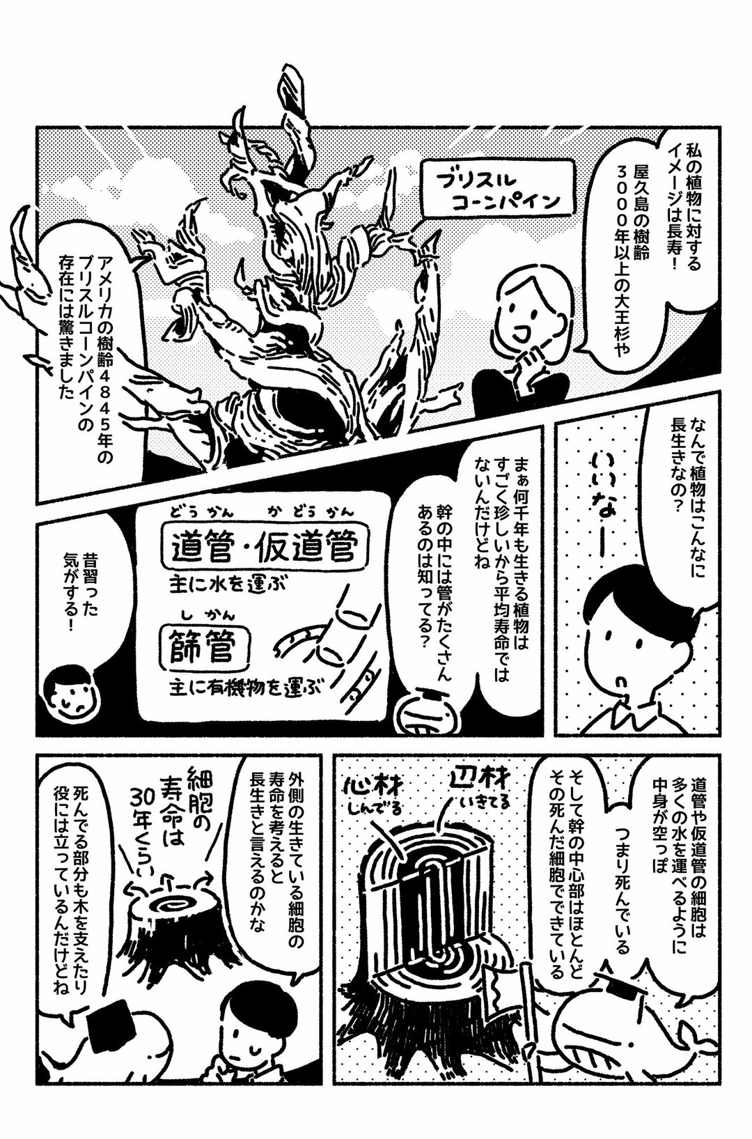 マンガでわかる 実は動く植物 も結構いる 若い読者に贈る美しい生物学講義 ダイヤモンド オンライン