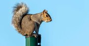 「自分の意見がない大人」が学び直すべき教科第1位は？