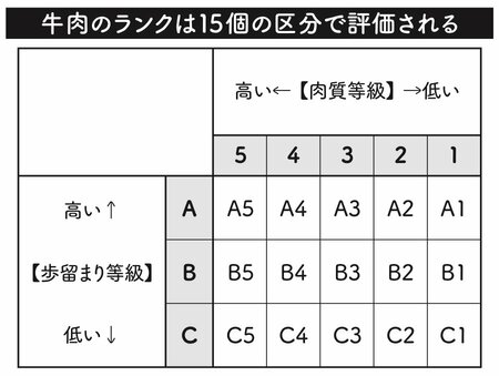 図表：牛肉のランクは15個の区分で評価される