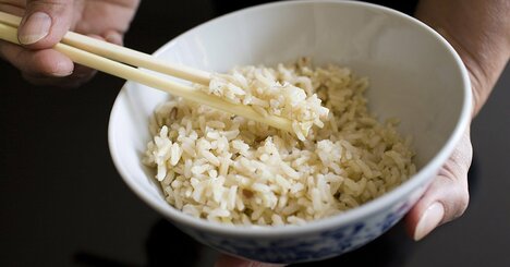 このご飯、何かおかしい…旅人が1年間食べ続けた「銀シャリ」の正体