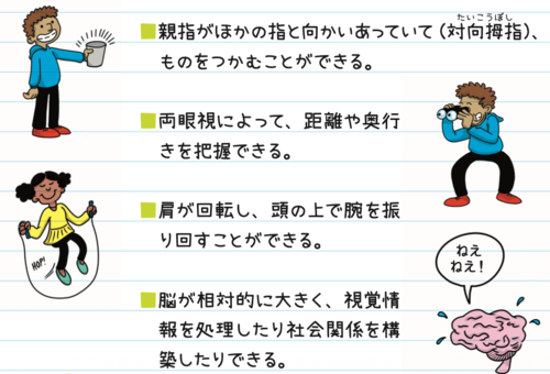 ・親指がほかの指と向かいあっていて（対向拇指）、ものをつかむことができる。
・両眼視によって、距離や奥行きを把握できる。
・肩が回転し、頭の上で腕を振り回すことができる。
・脳が相対的に大きく、視覚情報を処理したり社会関係を構築したりできる。