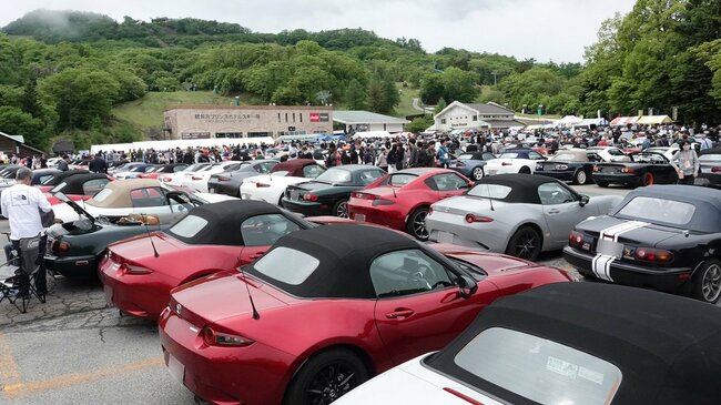 倍率3倍の駐車券を手に入れた幸運なクルマたち