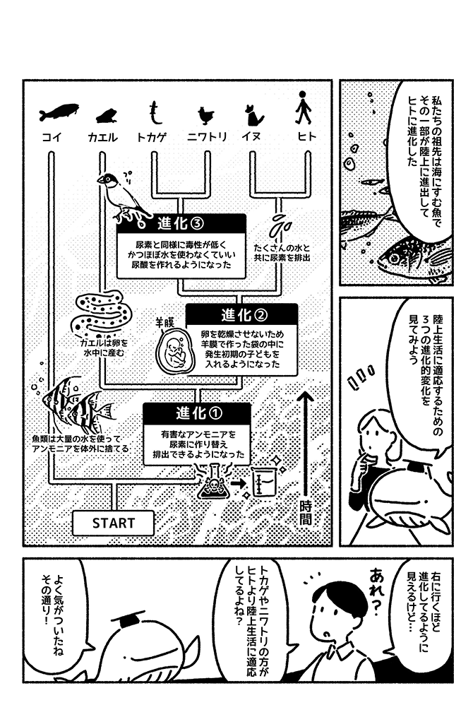 マンガでわかる 進化 とは 進歩して向上すること ではない 若い読者に贈る美しい生物学講義 ダイヤモンド オンライン