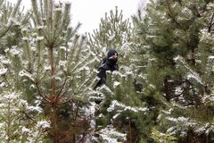 ポーランド国境、移民の苦難　雪とイノシシ