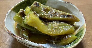 【自宅で簡単おつまみ】冷酒と相性抜群!「万願寺とうがらしの煮浸し」15分レシピ