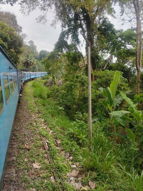 スリランカの鉄道にも扉がなかった。足をプラプラさせてる人がいて、かなり驚いた（提供=筆者）