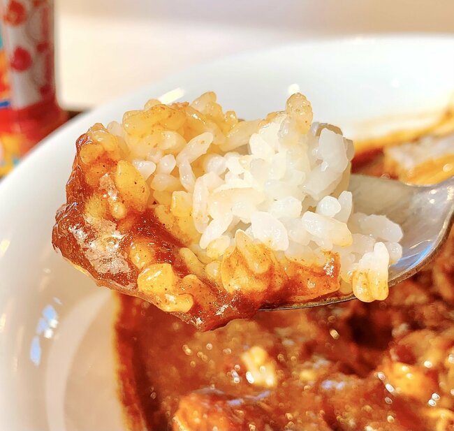 「美味しすぎて2杯目いきたい」すき家の“やけくそメニュー”期間限定なのが惜しい！「こういうのでいいんだよ」「いつものよりおいしい」《実食レビュー》