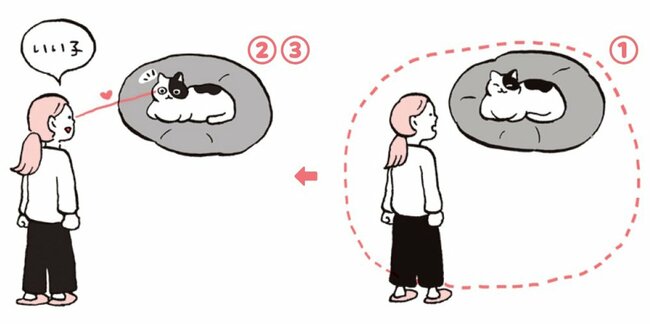 「なぜかネコにモテる人」が無意識にやっていること【獣医が解説】