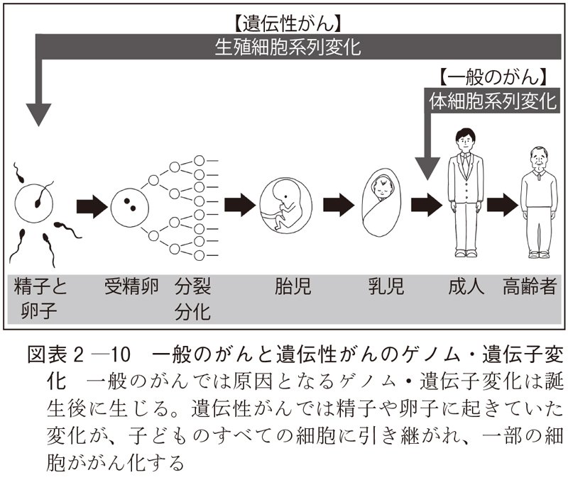 図表2-10　一般のがんと遺伝性がんのゲノム・遺伝子変化
