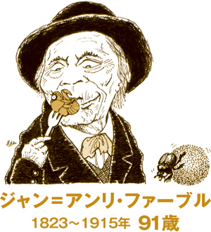 殻を破る前のセミは美味!? 長寿の源は好奇心