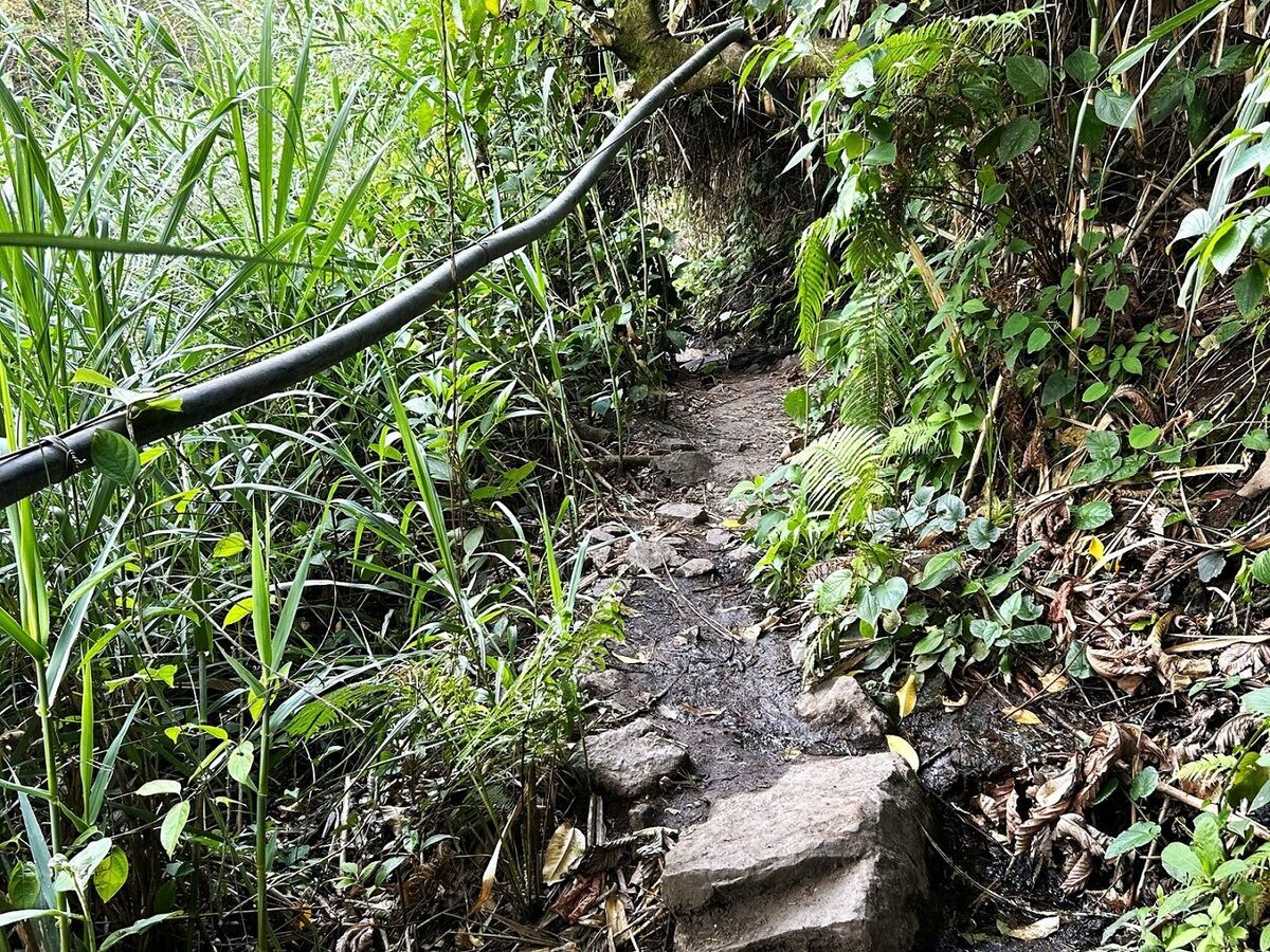 知られざる山奥の秘湯に一緒に入ろう！コロンビアで超豪快な「最も高熱な滝湯」につかる