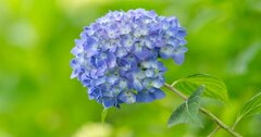 【神様は見ている】〇〇が嫌いな人ほど損してる!? 実は「厄を洗い流す」最高の開運日