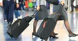 ANAとJALで約80万円差、CAの平均年収が高いのはどっち？「憧れの職業」に起きた異変