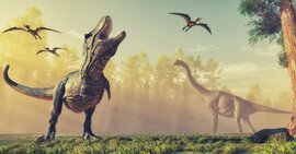 恐竜が「体重50トン以上」に大きくなれた4つの理由を知っていますか？