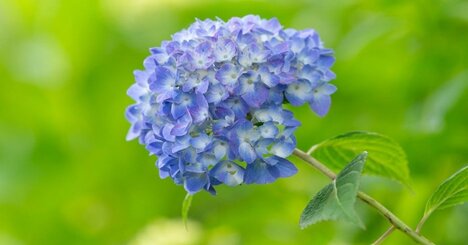 【神様は見ている】〇〇が嫌いな人ほど損してる!? 実は「厄を洗い流す」最高の開運日