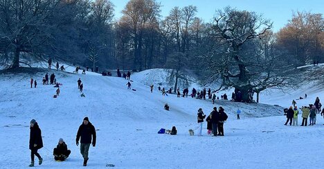 「え、これで働き過ぎ？」短時間労働の国デンマーク人が考える「妥当な労働時間」とは