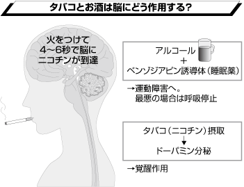 なかなかやめられない「酒」と「タバコ」──脳への影響は？