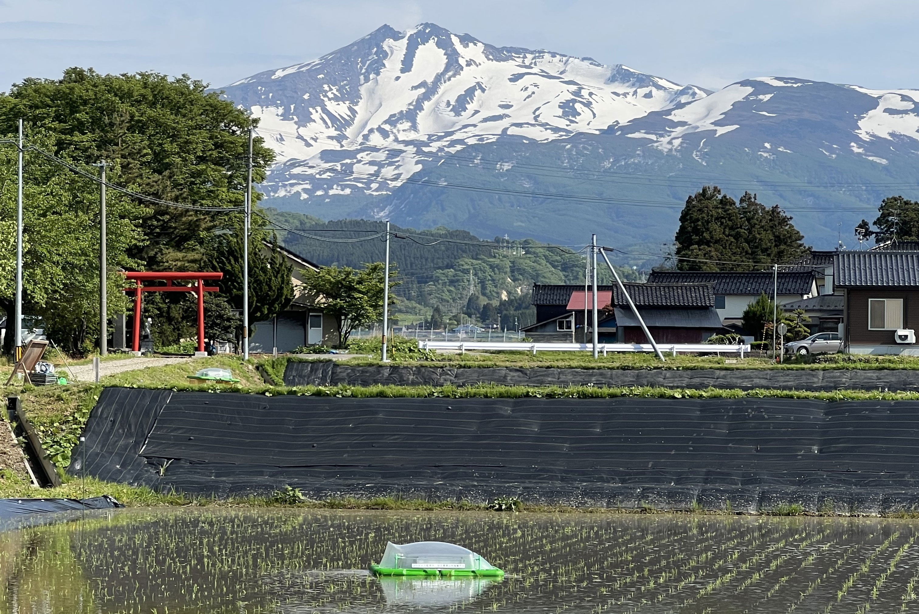 第1回：農業の変革「Agri X」は、「AgriTech」にとどまらない！新たなエコシステムを狙うベンチャー群の出現