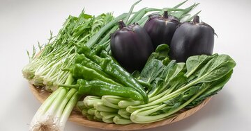 九条ねぎも?「日本の伝統野菜」の種子、実は大半が外国産である理由
