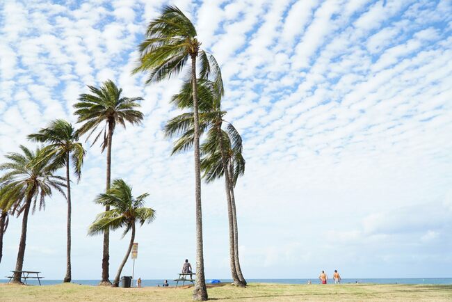 ハワイ・オアフ島「絶景ビーチ10選」パワースポット、かつての王族保養地…