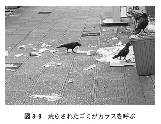 図3-9:荒らされたゴミがカラスを呼ぶ