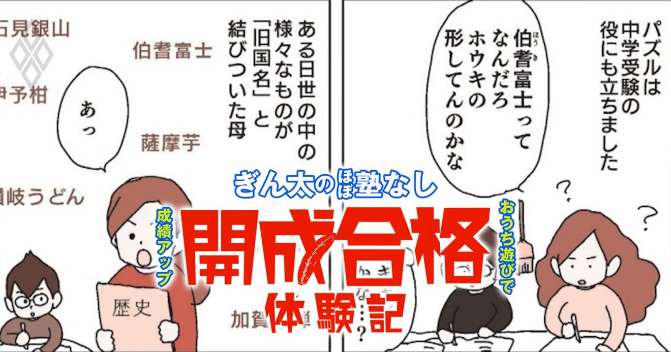 現役開成高生が小学校前の子に薦める「知育玩具」9選！パズルに