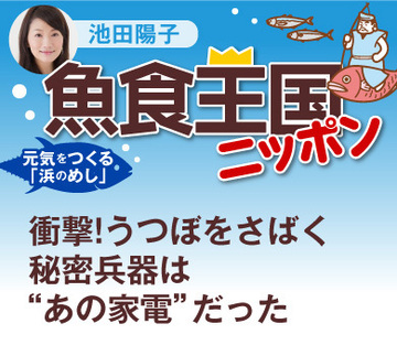衝撃！うつぼをさばく秘密兵器は“あの家電”だった
