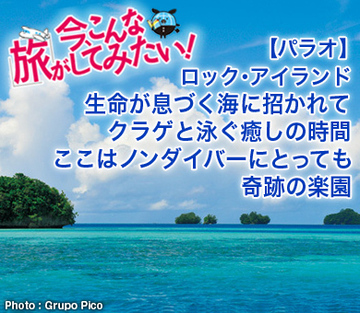 【パラオ】ロック・アイランド生命が息づく海に招かれて、クラゲと泳ぐ癒しの時間。ここはノンダイバーにとっても奇跡の楽園