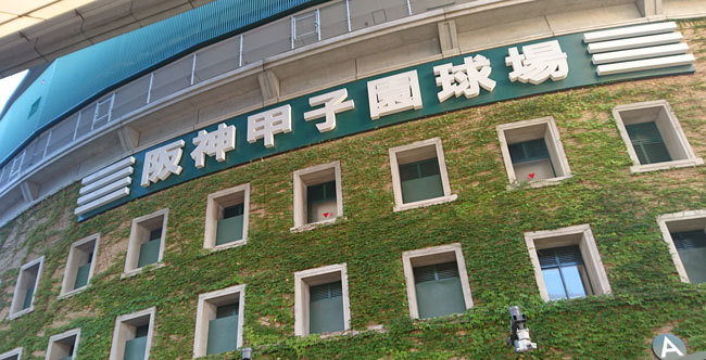 第100回を迎える「夏の甲子園」
