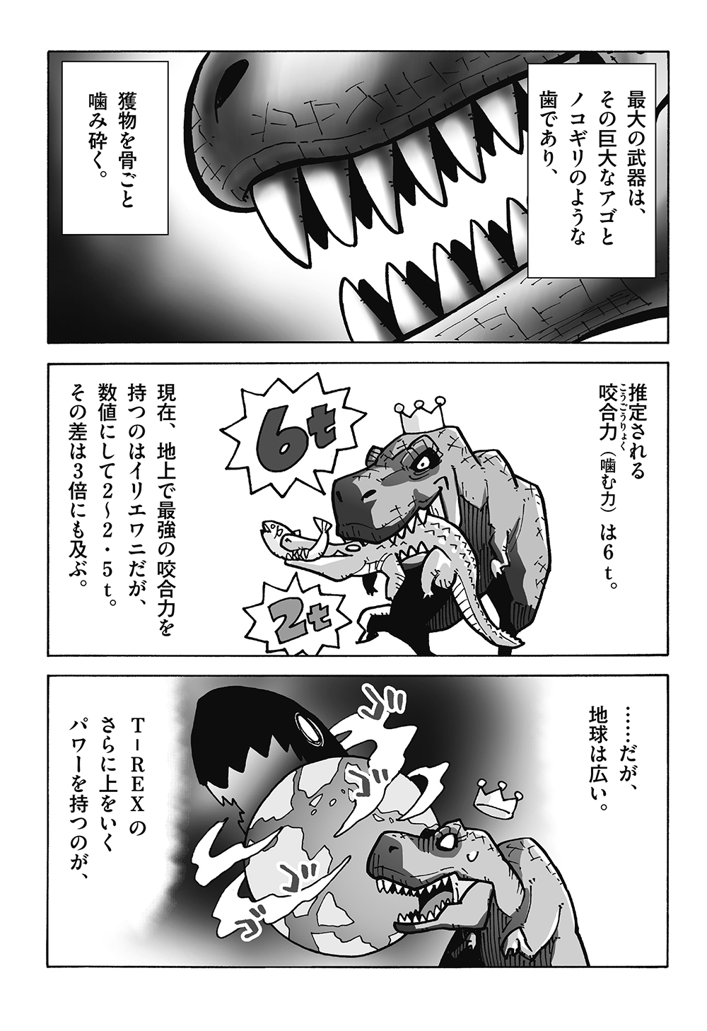 狩猟技術を教え合い、「新技」も開発!<br />シャチがどんどん賢くなっていく理由