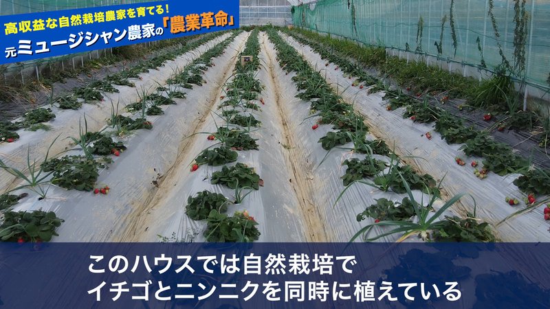 儲かる農業#9_6