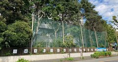 埼玉・千葉「私立中学」志願者ランキング、埼玉2位は開智、千葉2位は市川、1位は?