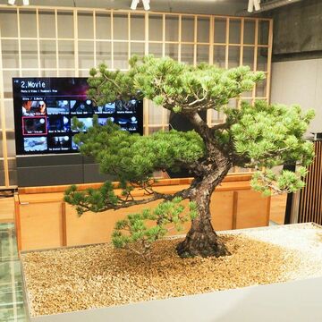 銀座並木通りに、バング＆オルフセン直営店オープン