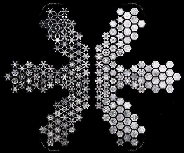 「雪の結晶」2453種類を分類しパーツとして<br />組みあげた「雪の結晶」インフォグラフィック