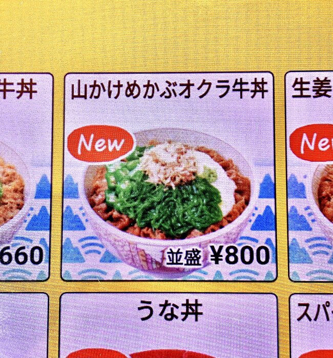 「この世で一番うまい食いもん」「年中売ってほしい」すき家の“豪快どんぶり”具材たっぷりで贅沢すぎる！「カオスな感じが嬉しい」