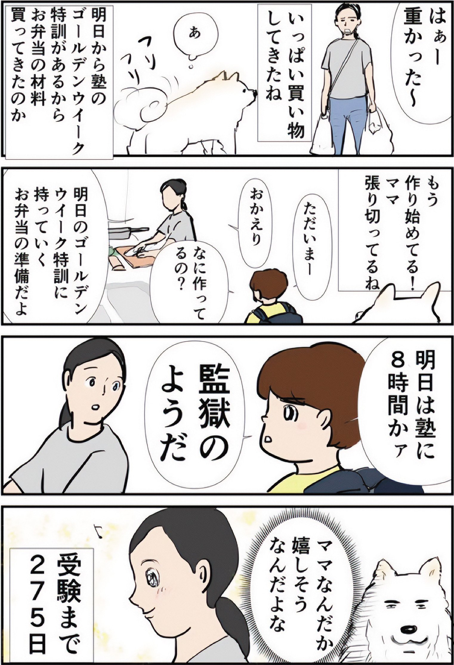 『ギャグ漫画家の母が初めて中受伴走をしてみたら』りえ太郎