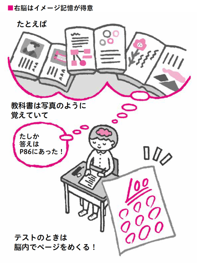 脳内科医が断言 左利きと右利きの感性 決定的な差 すごい左利き ダイヤモンド オンライン