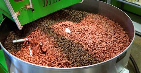 最高のコーヒーを目指せ：新潮流は豆の冷凍 理想の1杯をいれるための飽くなき探究心がたどりついた氷点下の世界