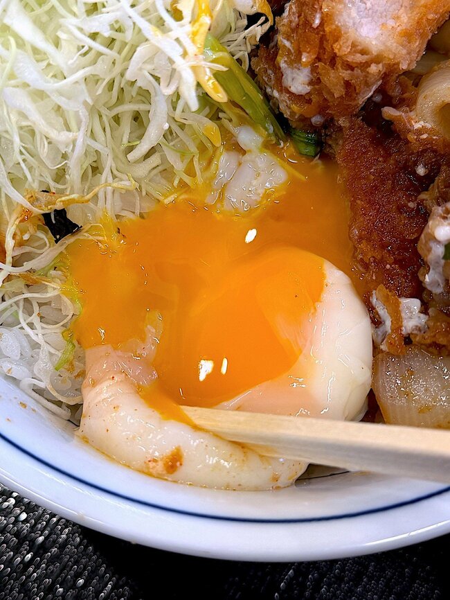 「肉の宝石箱みたい」かつやの“鬼盛りどんぶり”ボリュームすごくて大満足!「まさに男子の夢」「これは美味しかった」