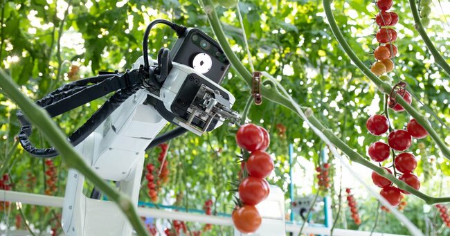 デンソーが開発した収穫ロボット。画像認識技術で熟した収穫適期のトマトを判別。夜間にも収穫作業を行うことができる