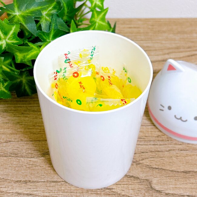 かわいすぎて家中に置きたい！セリアの「インテリアみたいなゴミ箱」小物入れとしても使えて万能！