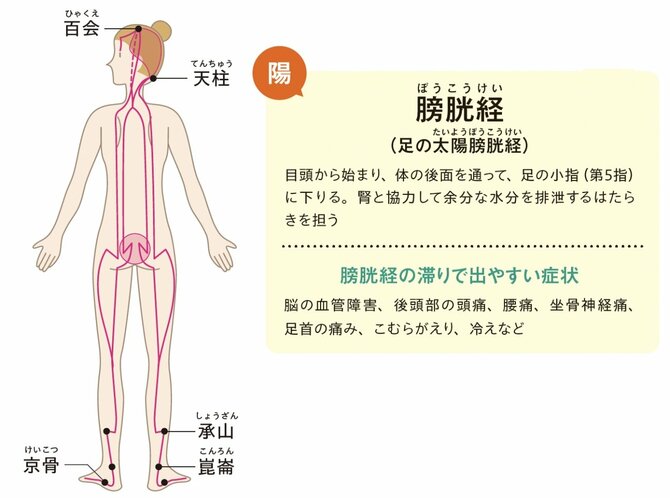 【整体プロが指南】視力が落ちたかな? と思ったらやってみて。「たった1つの習慣」