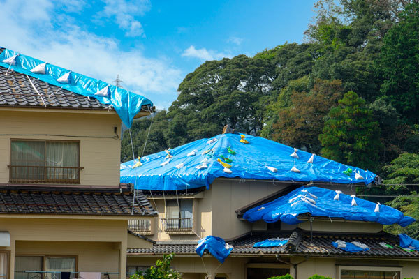 ブルーシート,土のう袋