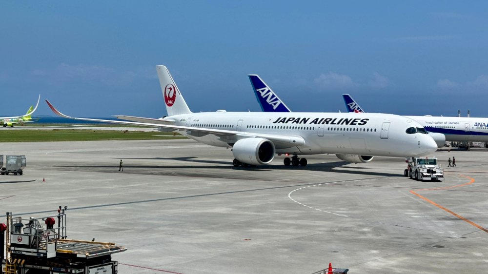 夫婦で2万8000マイルもお得！JALの「旅先ガチャ」が神すぎた。ガラガラのジャングリアで気づいた〈ディズニーにはない魅力〉