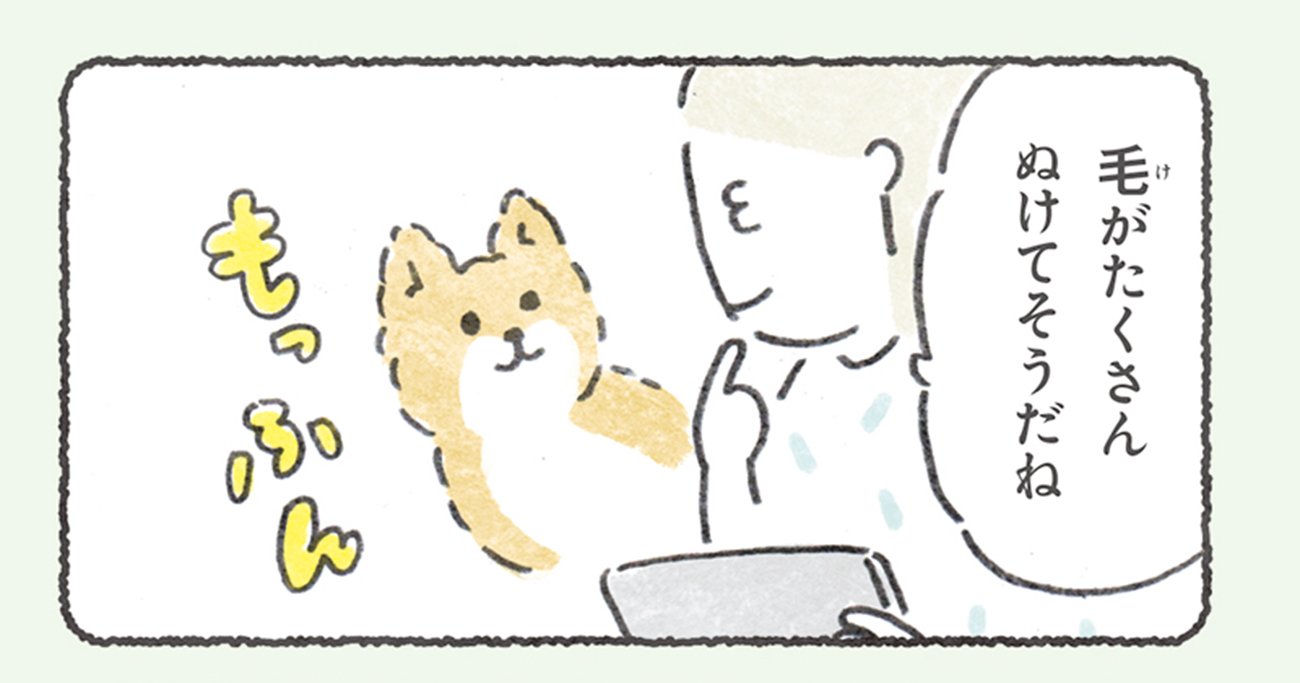 【ほっこりマンガ】秋の犬は特別かわいい！【いやされる】