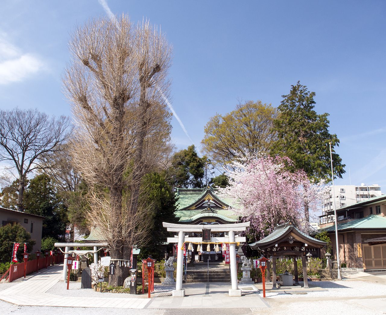 埼玉は縁結びの神様の宝庫だった!2024年の良縁&開運を祈願するなら歴史ある三神社へ