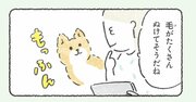 【ほっこりマンガ】秋の犬は特別かわいい！【いやされる】