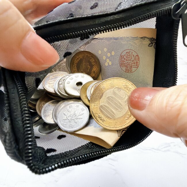 カードが50枚も入った！セリアの“大人かわいいポーチ”110円とは思えないオシャレさ！「2つ買っちゃった」「可愛いし優秀」《購入レビュー》